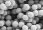Plain Al2O3 alumina microspheres