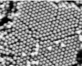 Carboxyl functional TiO2 microspheres 1.0µm
