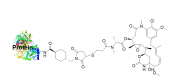 蛋白-DM1偶联试剂盒