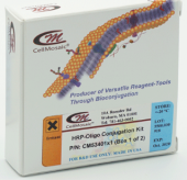 HRP-寡核苷酸偶联试剂盒