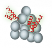 蛋白肽-SepSphere™ 琼脂糖微球偶联试剂盒（通过马来酰亚胺）