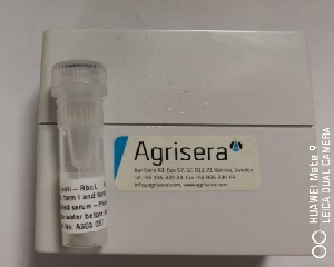 Agrisera Secondary/ECL offer