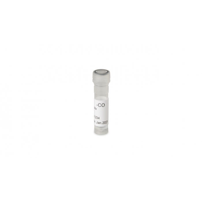 Carnation etched ring virus coating antibodies