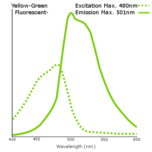Yellow-Green Fluorescent Carboxylated Particles