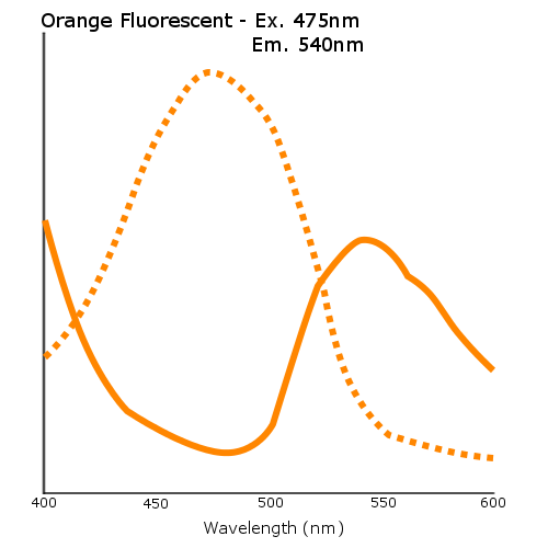 Orange Fluorescent Aminated Particles