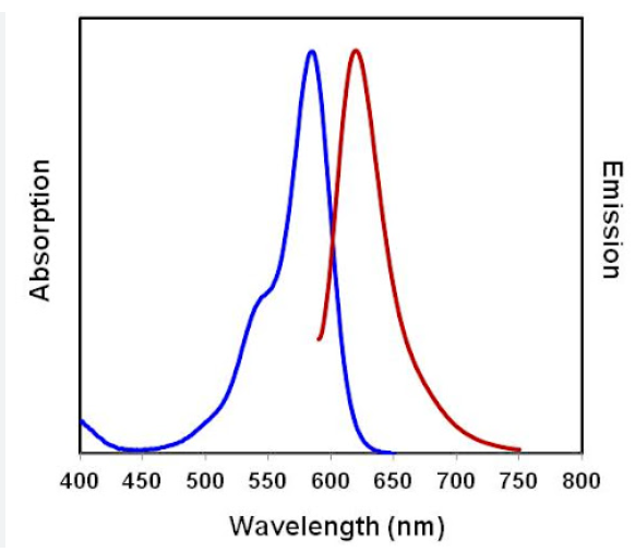 Magenta Fluorescent Carboxylated Particles